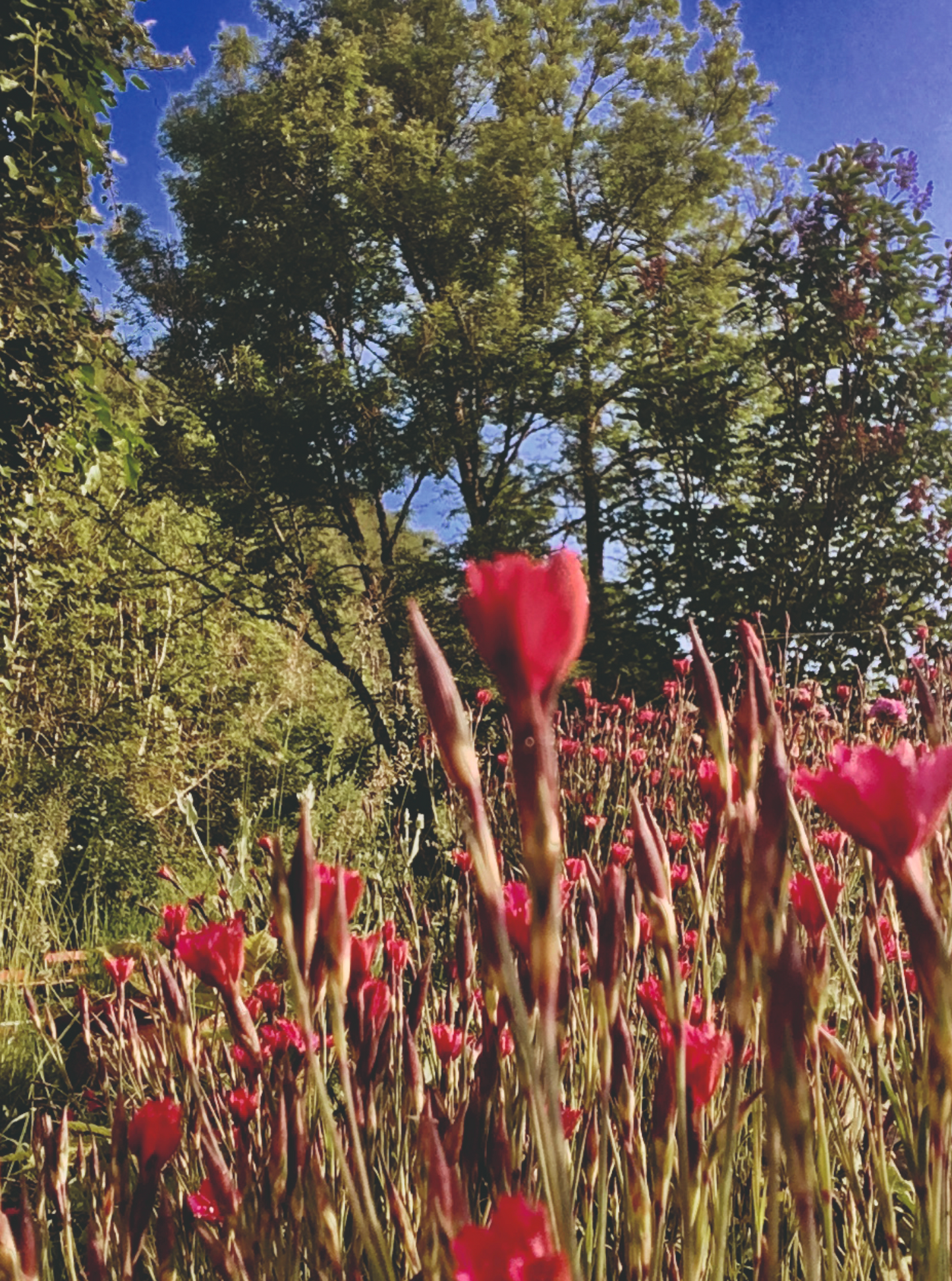 Aux Couleurs du Terroir