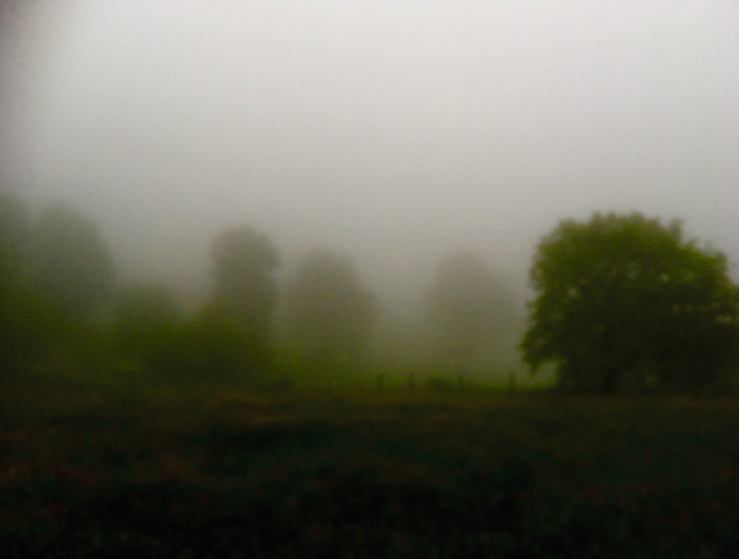 Auberge du Chalet des Enfants