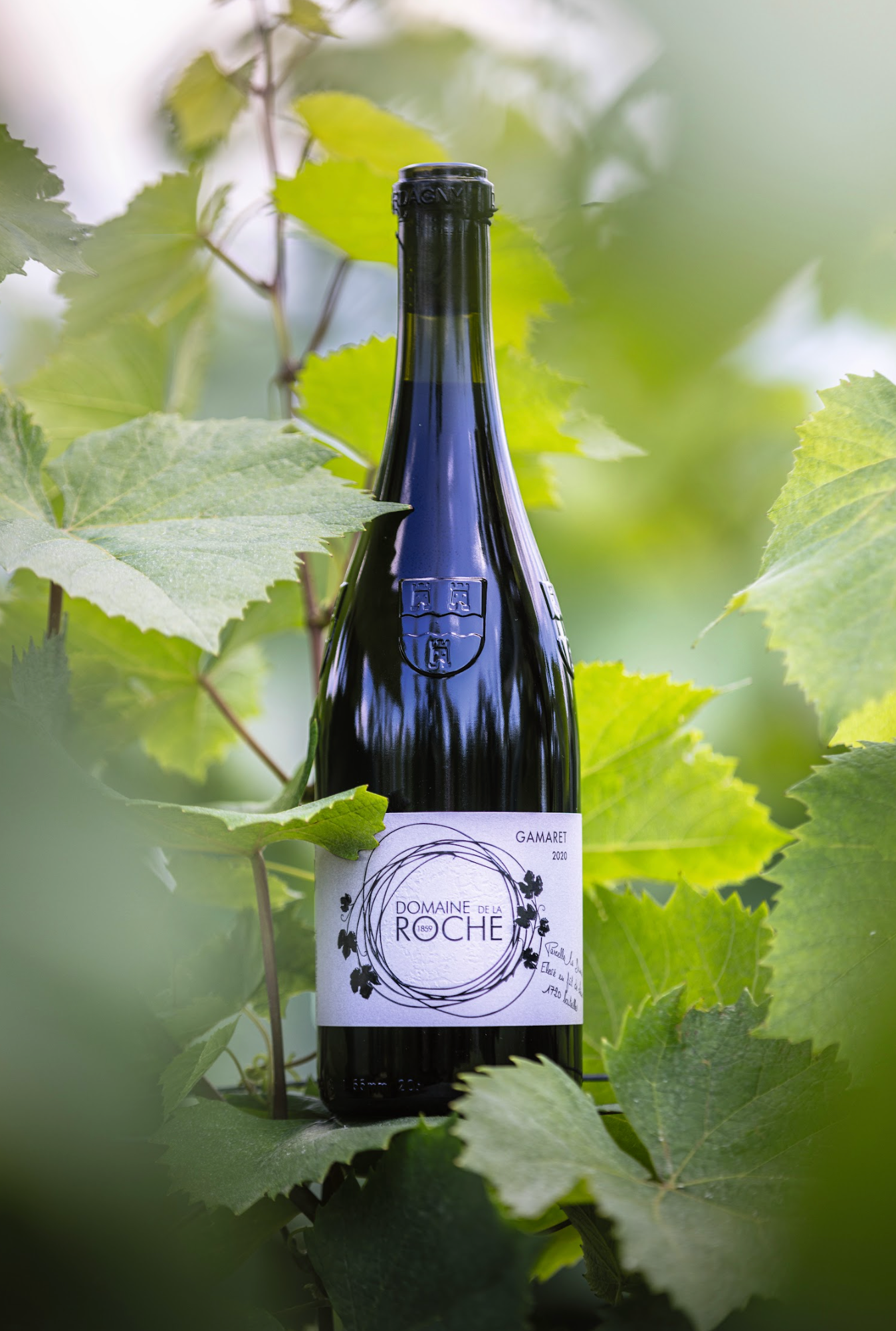 Domaine de la Roche 1859