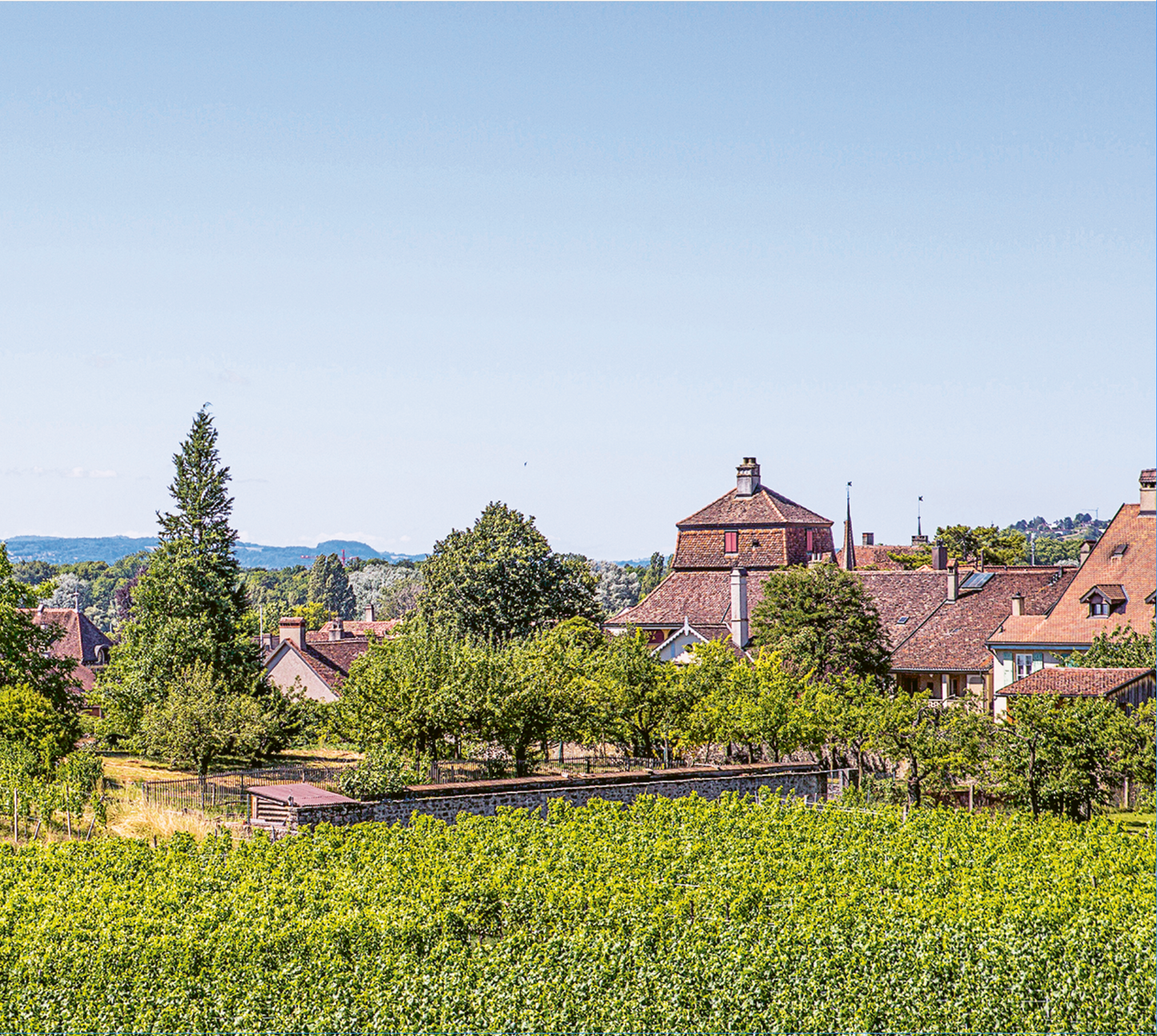 Domaine de la Maison Carrée