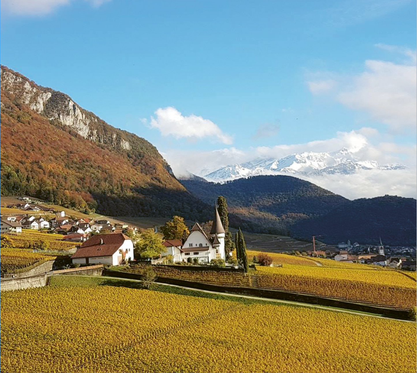 Château Maison Blanche