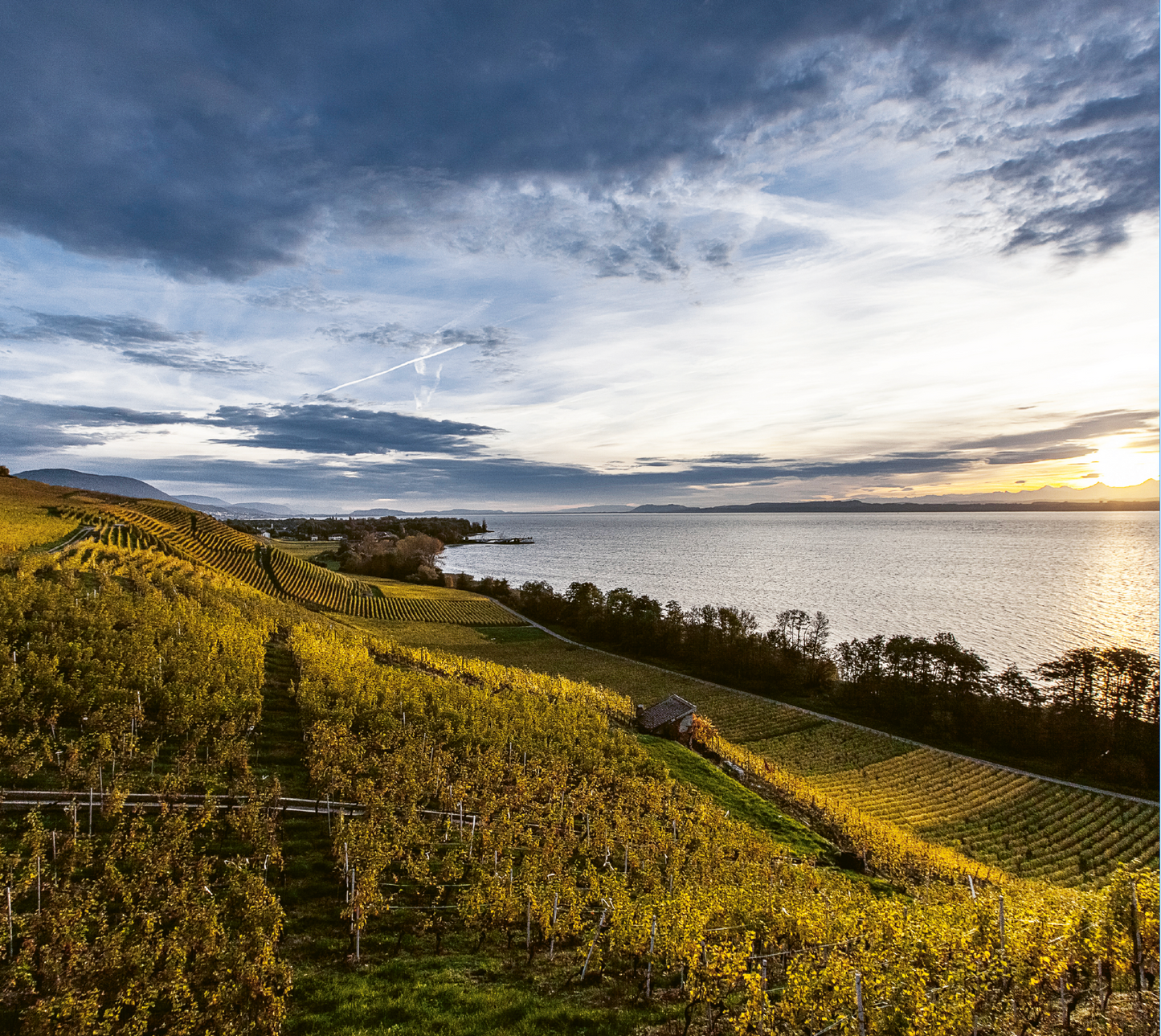 Neuchâtel Vins et Terroir