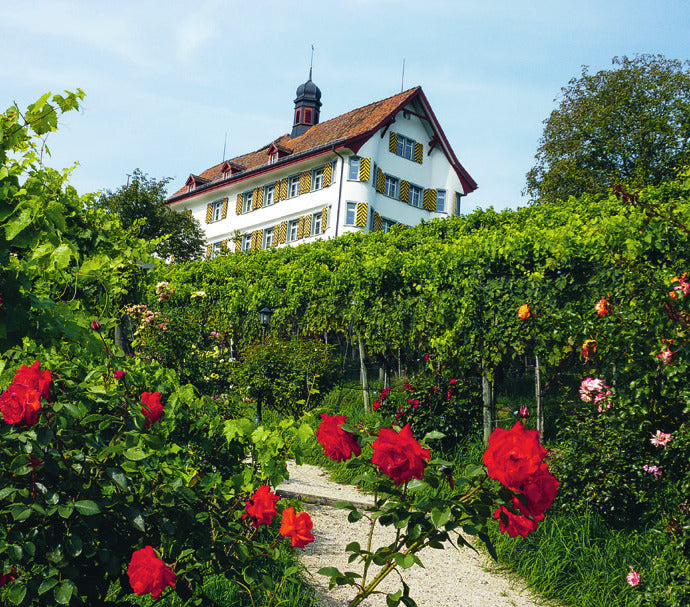 Schloss Dottenwil