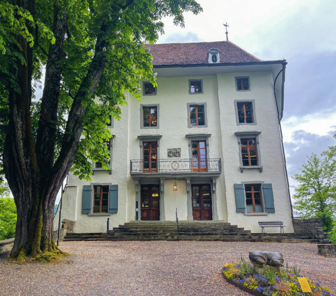 Schloss Rued & Gasthaus Storchen