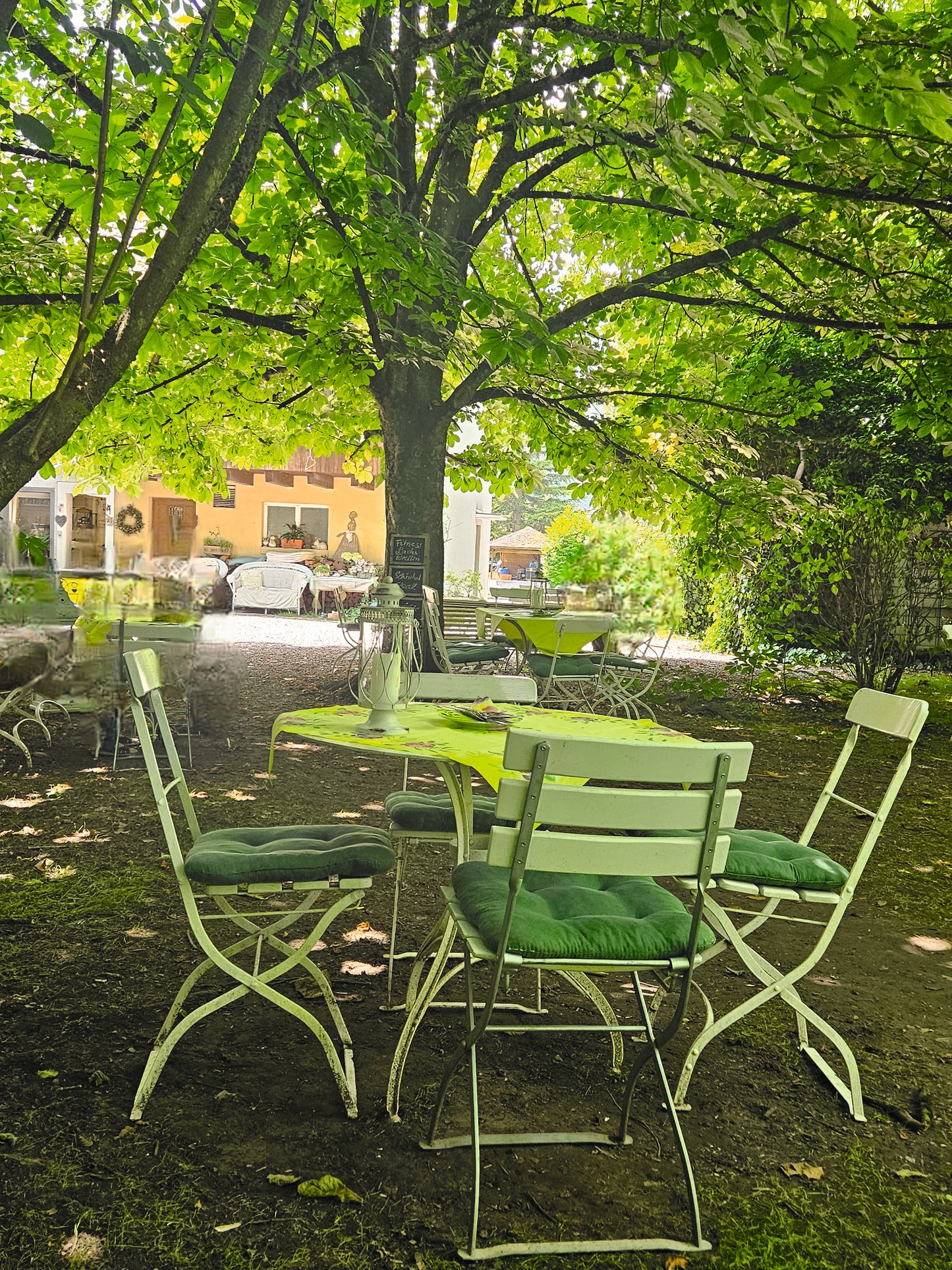 Gasthaus zum Rheintal