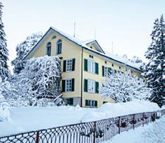 Villa Steiner