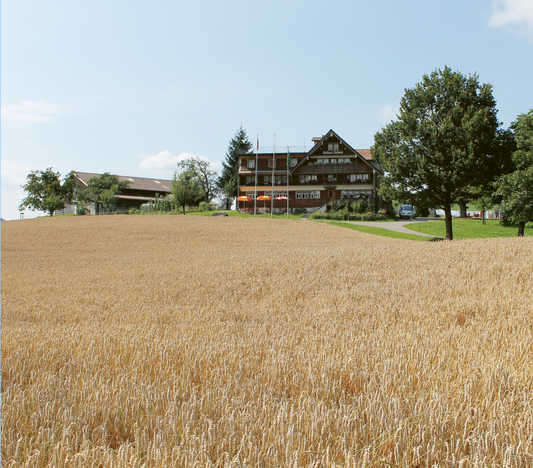 Gasthaus und Pension Frohwies