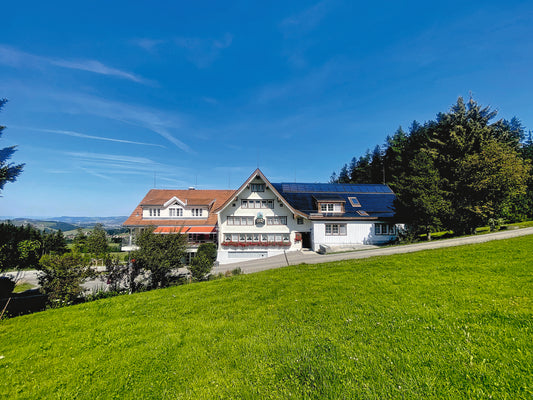 Hirschen