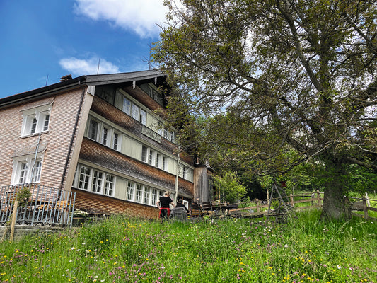 Urwaldhaus zum Bären