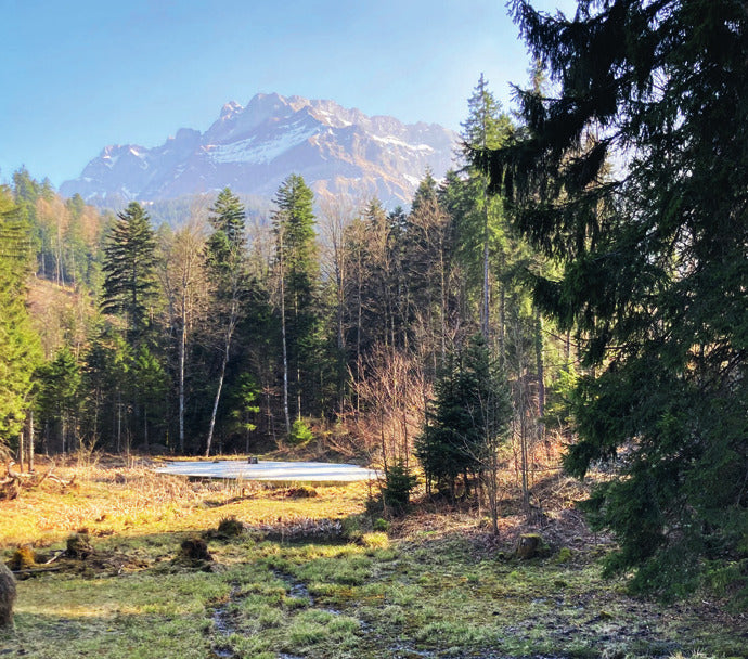Alpladen Neualp