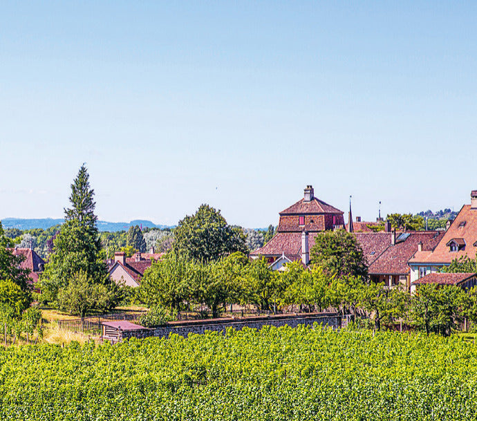 Domaine de la Maison Carrée