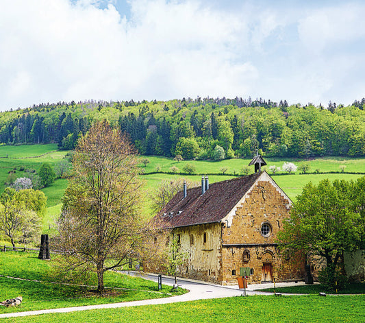 Kloster Schönthal