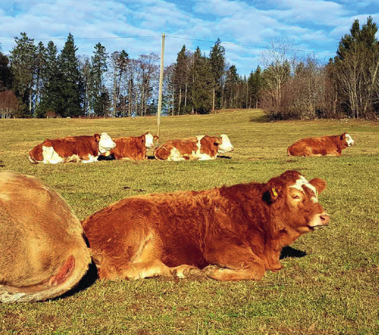La Ferme Gourmande
