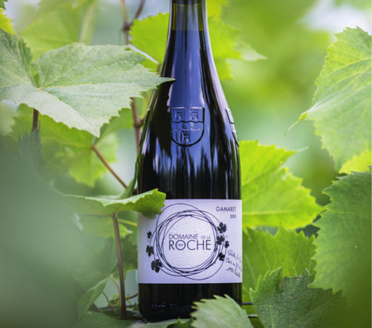 Domaine de la Roche 1859