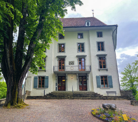 Schloss Rued & Gasthaus Storchen