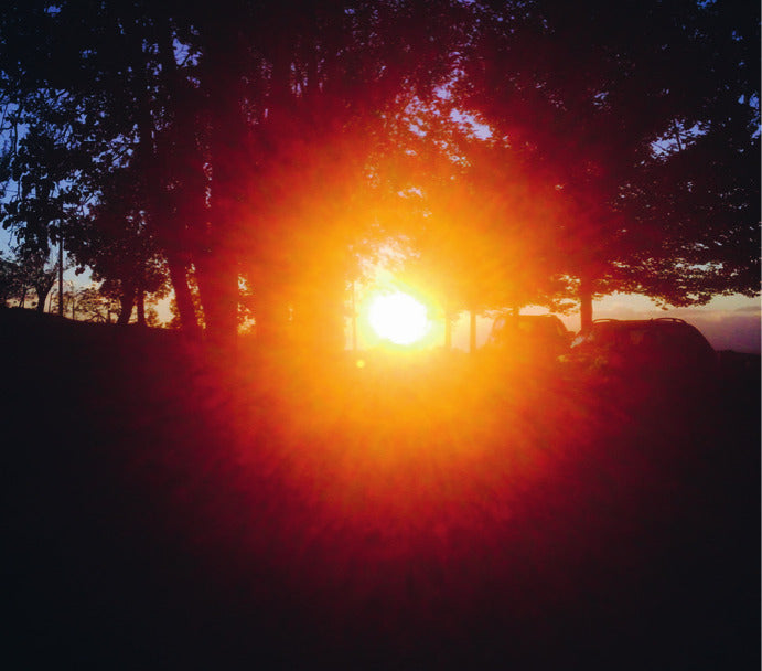 Landgasthof Sonne