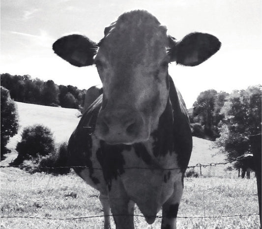 Weidefarm