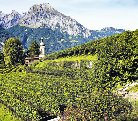 Weingut zum Rosenberg